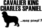 Preview: Aufkleber "Cavalier King Charles Spaniel ...was sonst?"